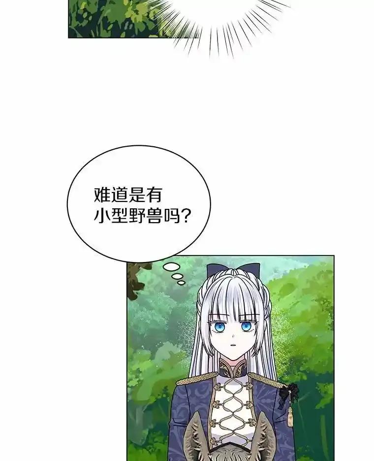 《吞噬太阳的花》63.狩猎大赛 第44页