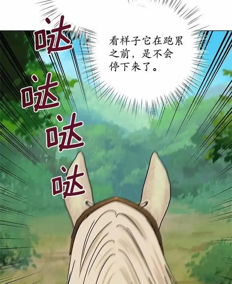 《吞噬太阳的花》63.狩猎大赛 第51页