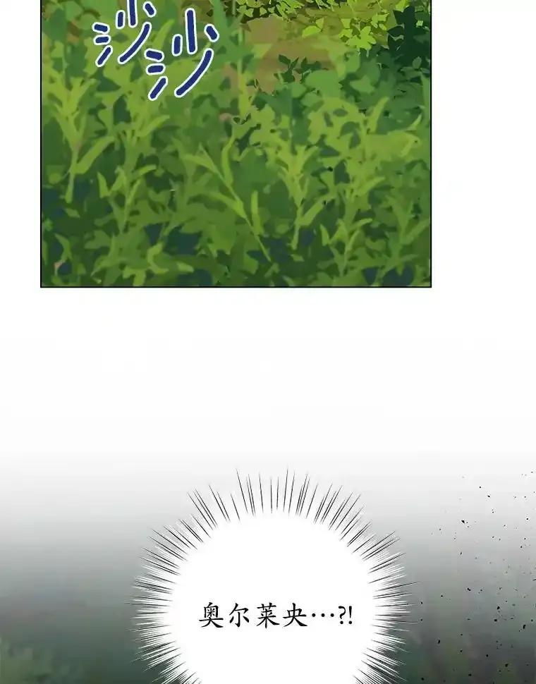 《吞噬太阳的花》63.狩猎大赛 第106页