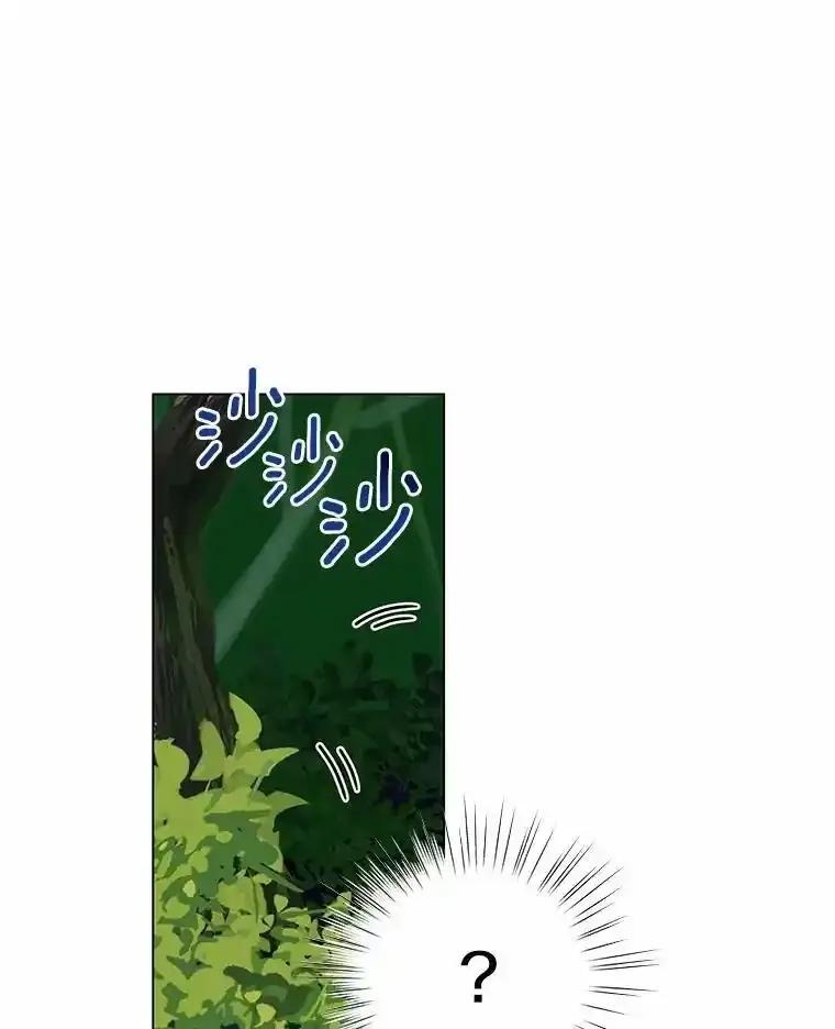 《吞噬太阳的花》63.狩猎大赛 第43页