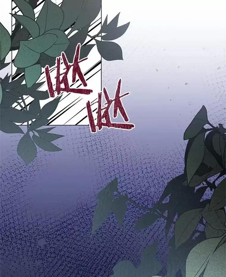 《吞噬太阳的花》63.狩猎大赛 第67页