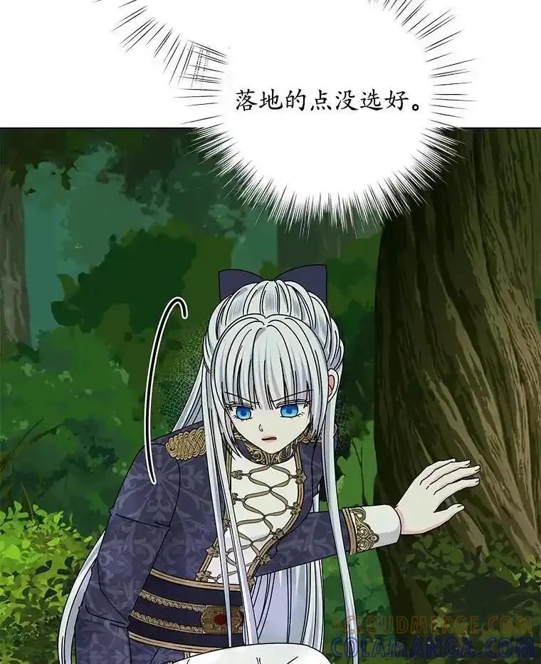 《吞噬太阳的花》63.狩猎大赛 第81页