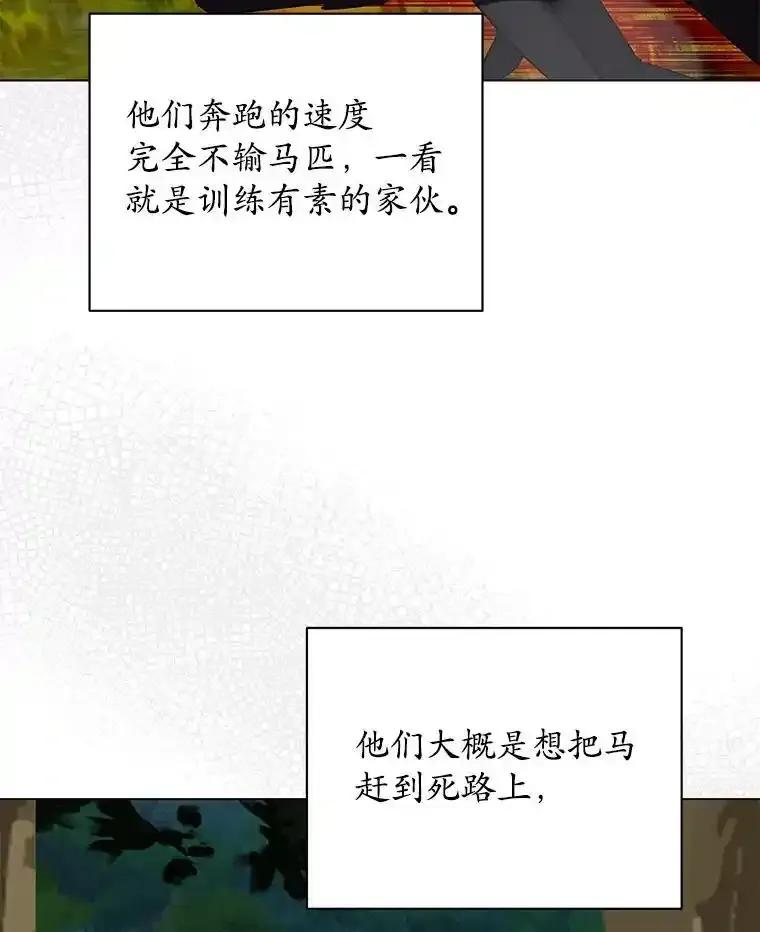 《吞噬太阳的花》63.狩猎大赛 第75页