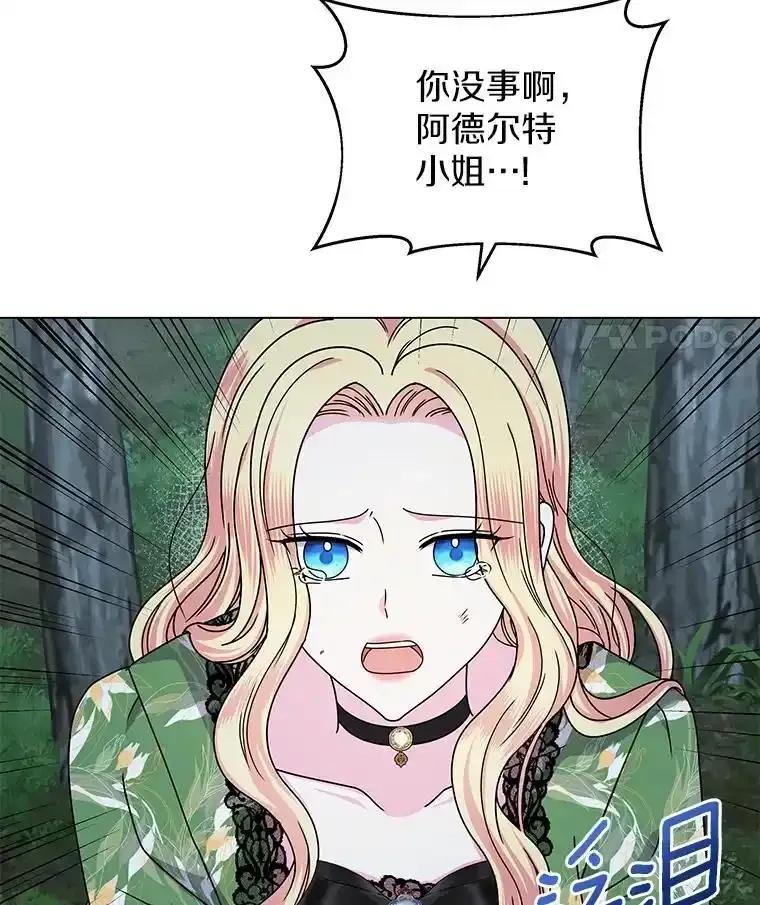 《吞噬太阳的花》64.遇袭 第28页