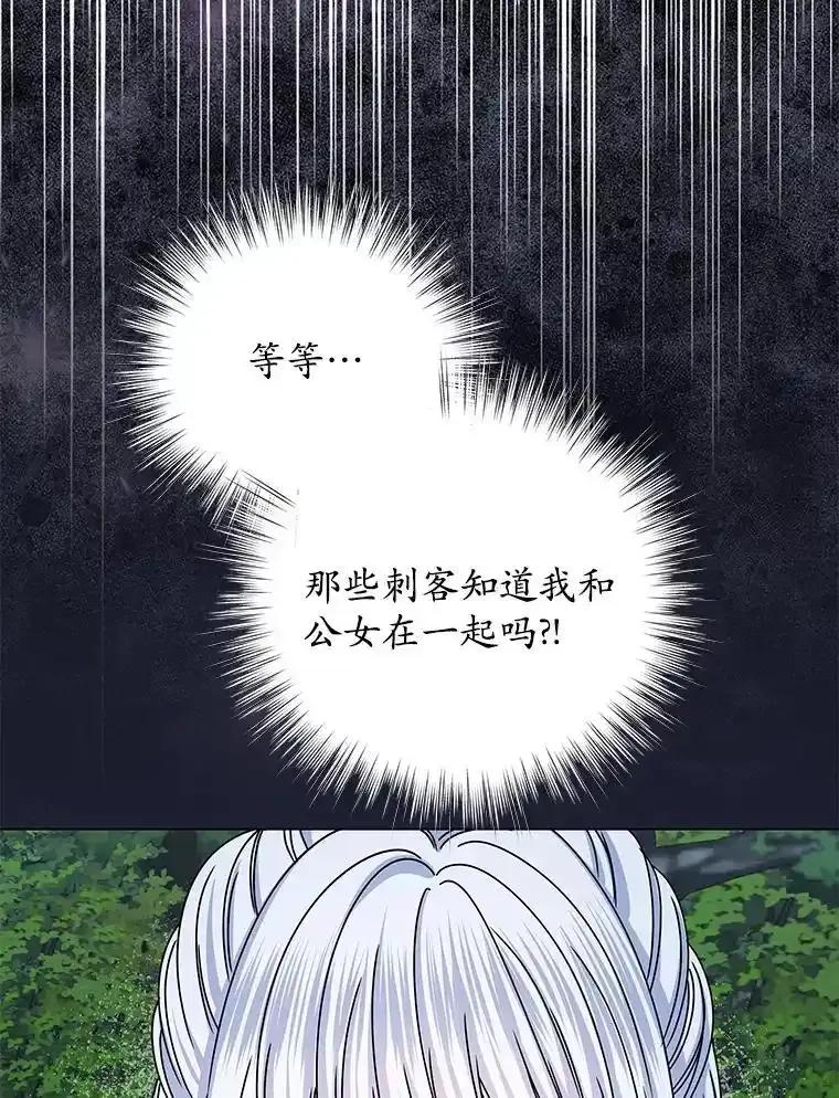 《吞噬太阳的花》64.遇袭 第112页