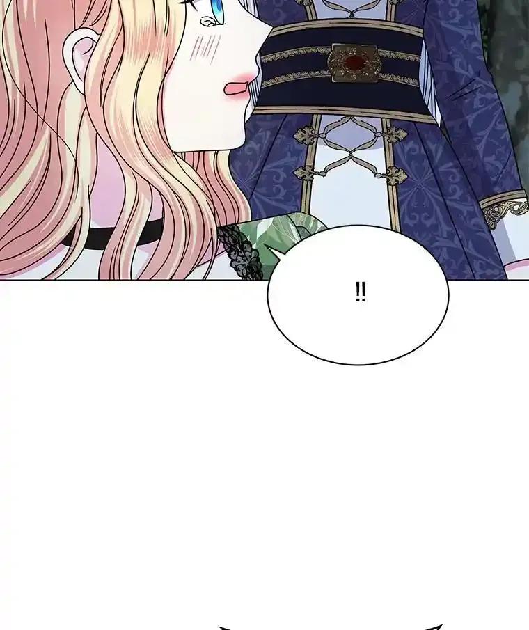 《吞噬太阳的花》64.遇袭 第27页