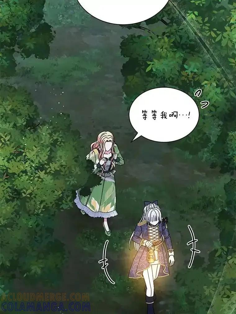 《吞噬太阳的花》64.遇袭 第97页