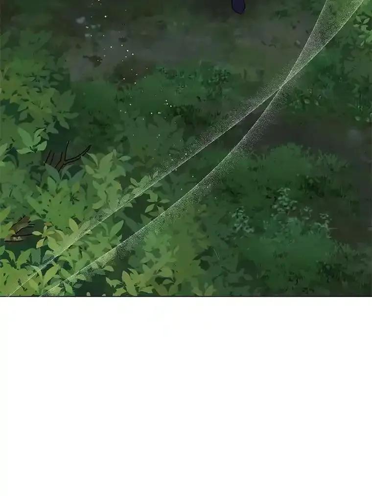 《吞噬太阳的花》64.遇袭 第98页