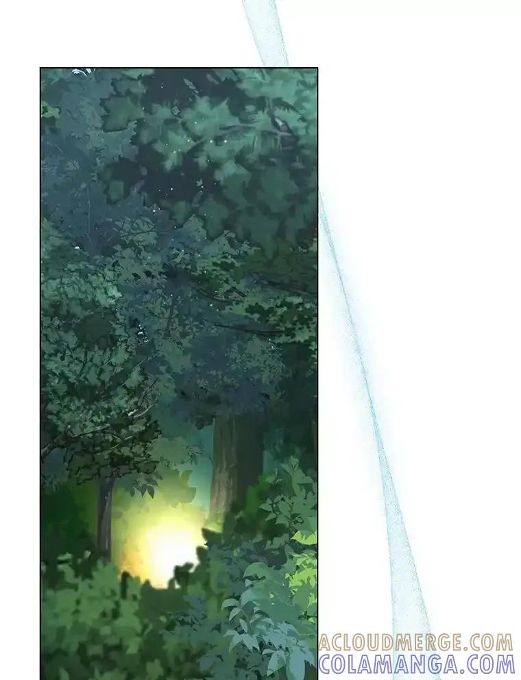 《吞噬太阳的花》64.遇袭 第5页