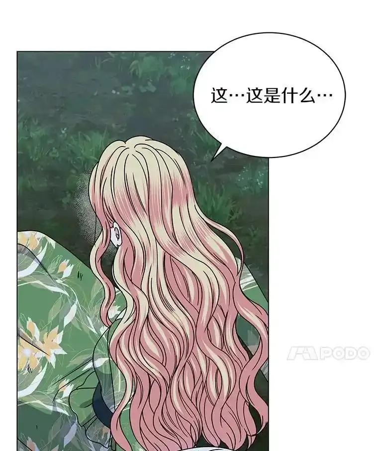 《吞噬太阳的花》64.遇袭 第24页
