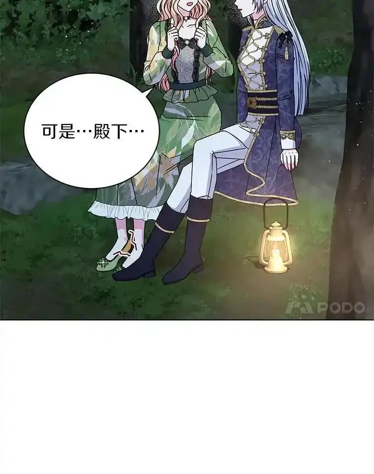 《吞噬太阳的花》64.遇袭 第66页
