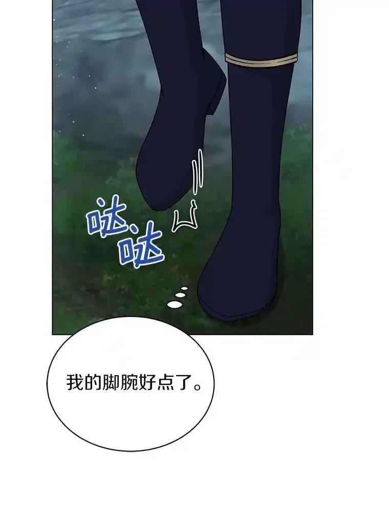 《吞噬太阳的花》64.遇袭 第91页