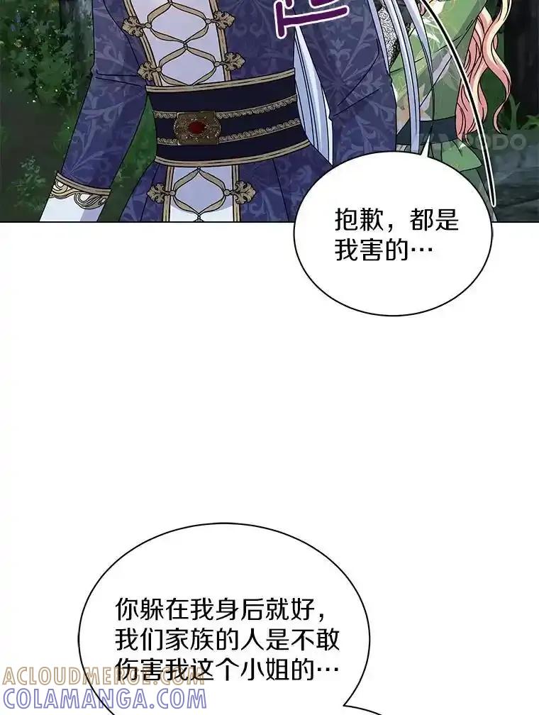 《吞噬太阳的花》64.遇袭 第93页