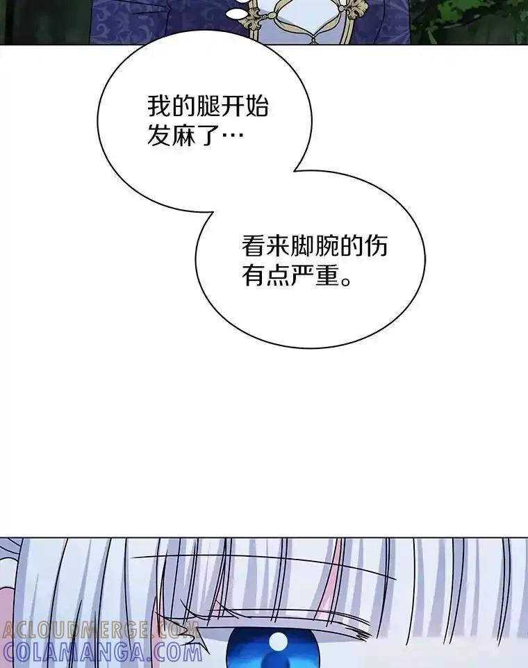 《吞噬太阳的花》64.遇袭 第57页