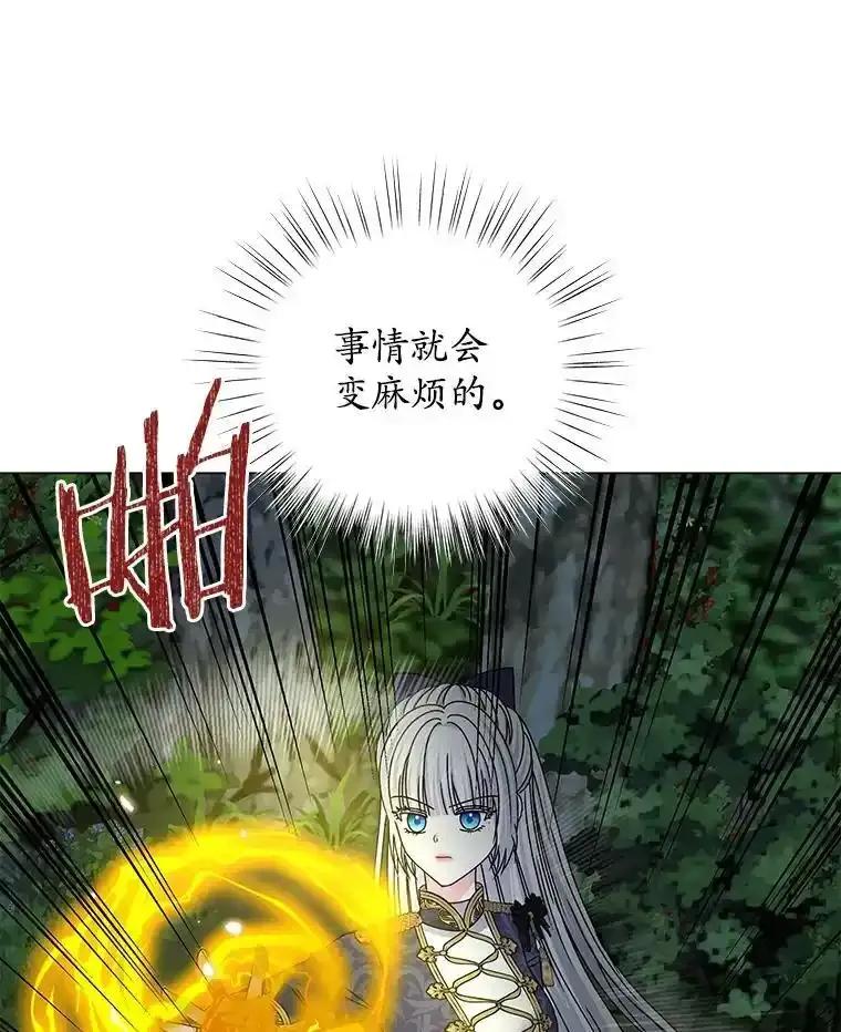 《吞噬太阳的花》64.遇袭 第11页