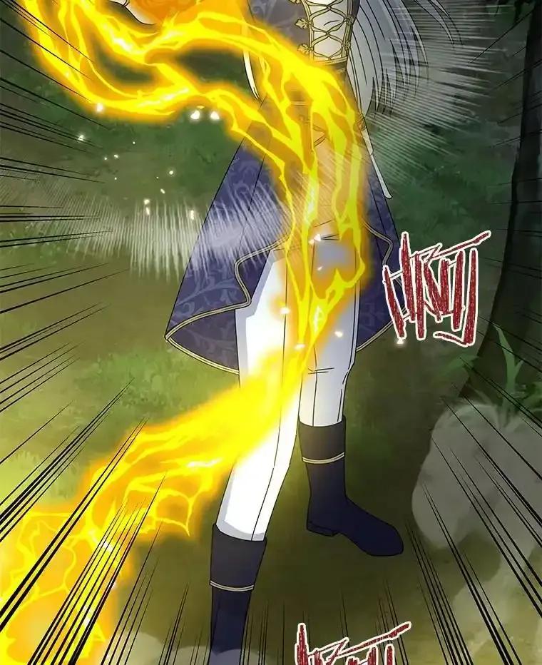《吞噬太阳的花》64.遇袭 第12页