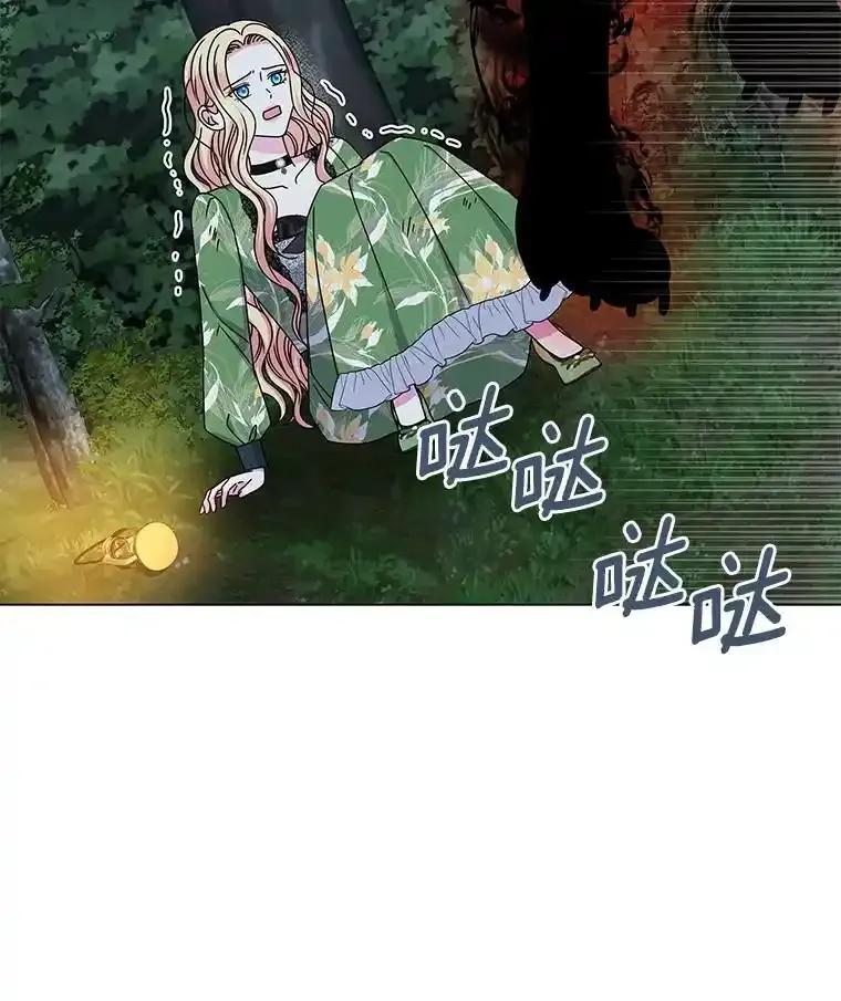 《吞噬太阳的花》64.遇袭 第23页