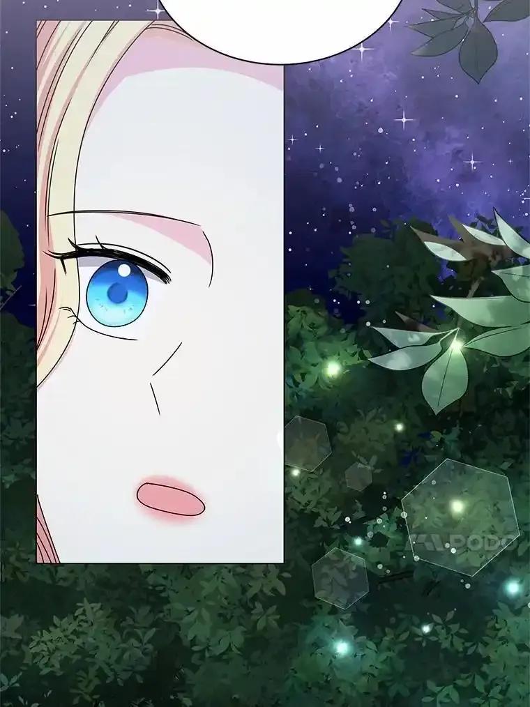 《吞噬太阳的花》64.遇袭 第86页