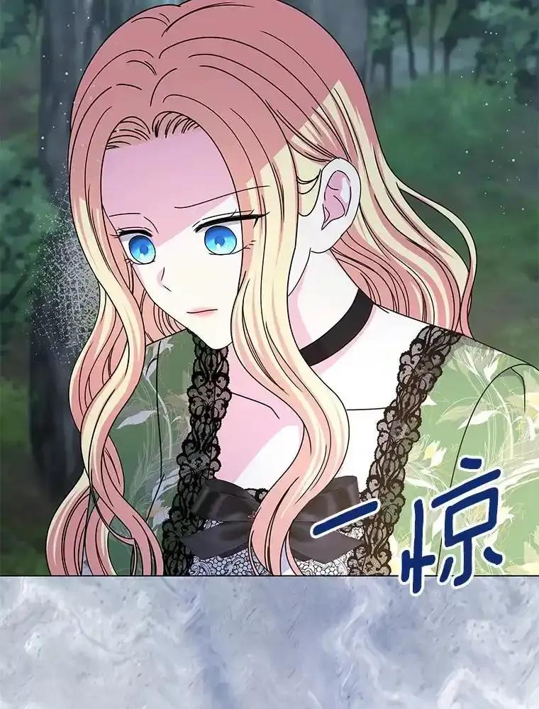 《吞噬太阳的花》64.遇袭 第42页