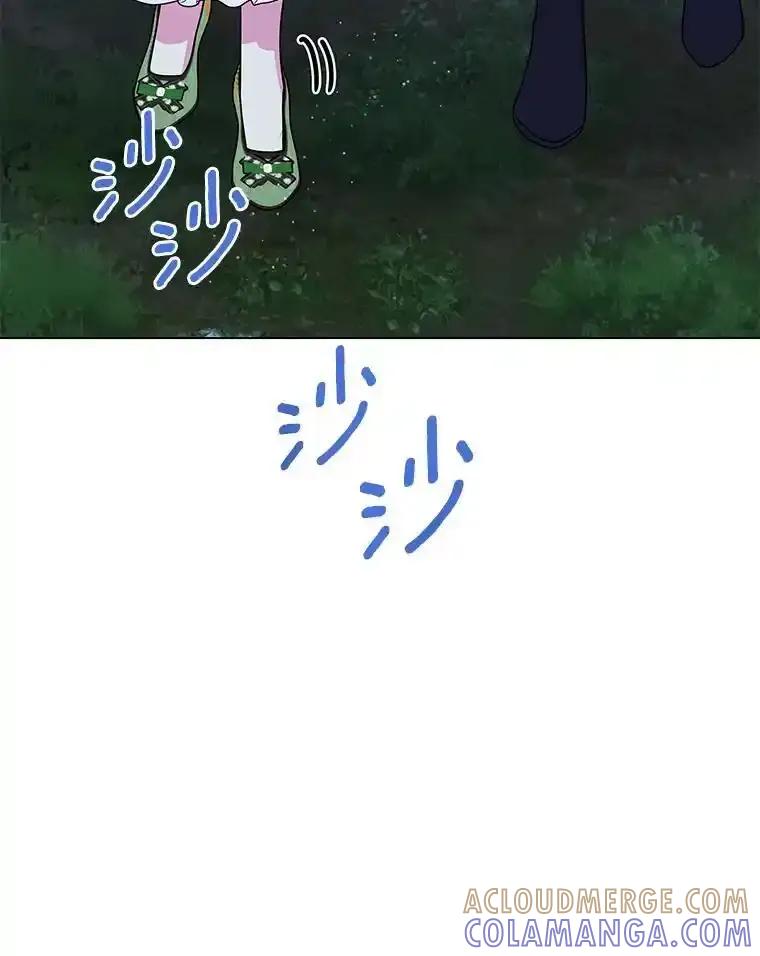 《吞噬太阳的花》64.遇袭 第101页