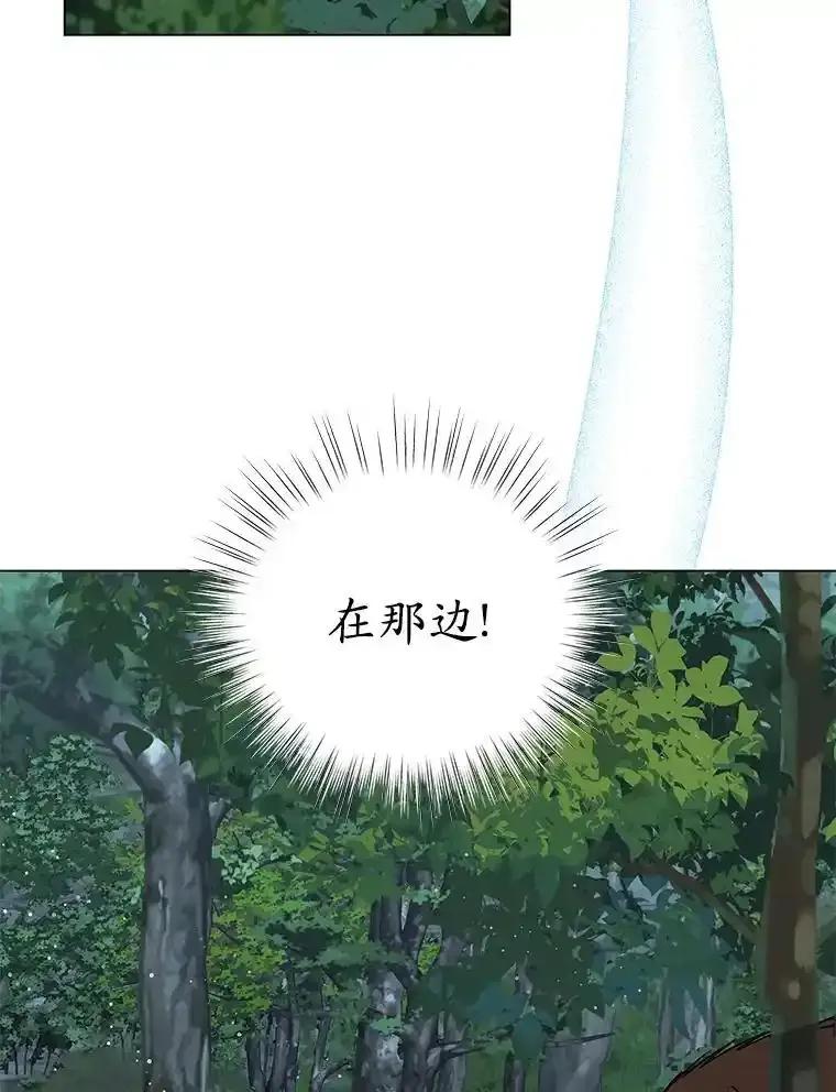 《吞噬太阳的花》64.遇袭 第6页