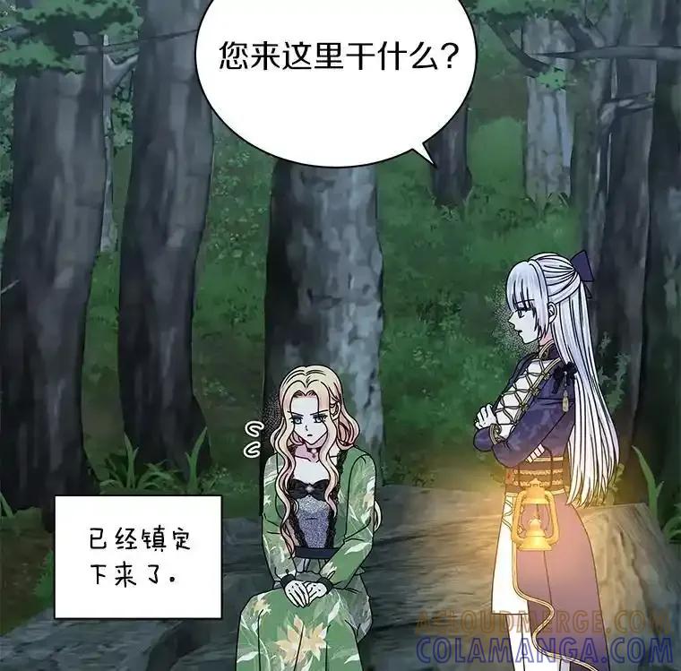 《吞噬太阳的花》64.遇袭 第33页