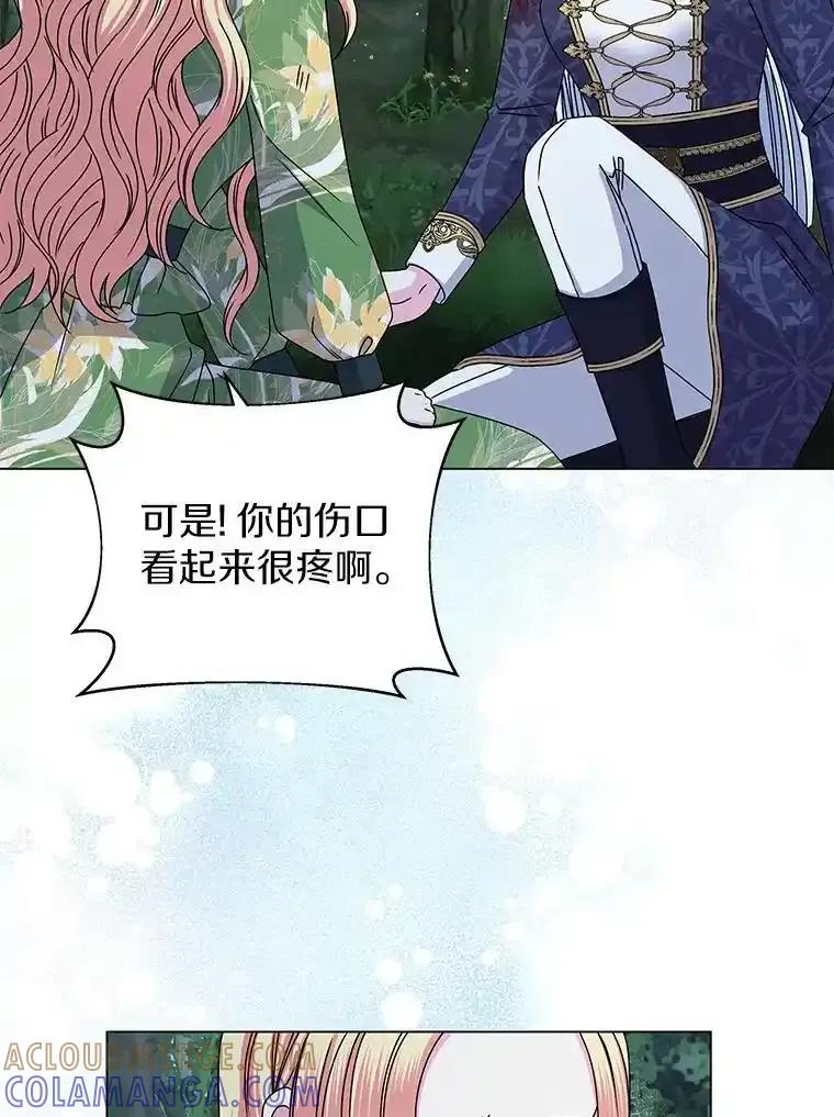 《吞噬太阳的花》65.获救 第29页