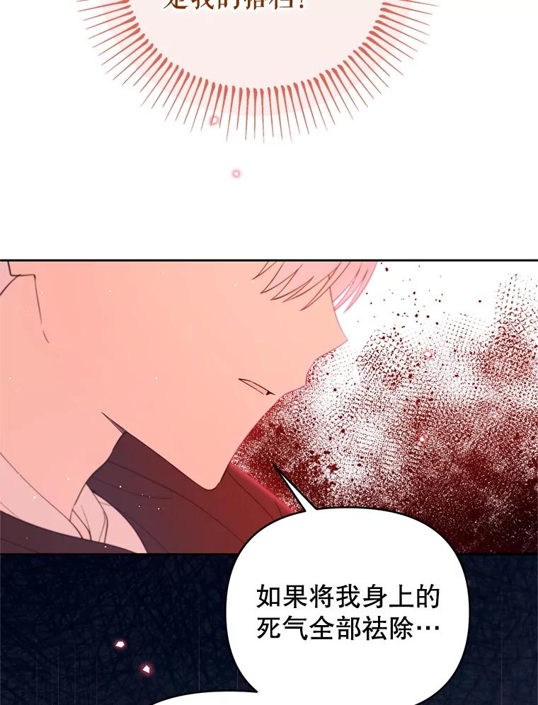 《林德尔又出什么事了？》65.艾米莉亚的报复 第43页