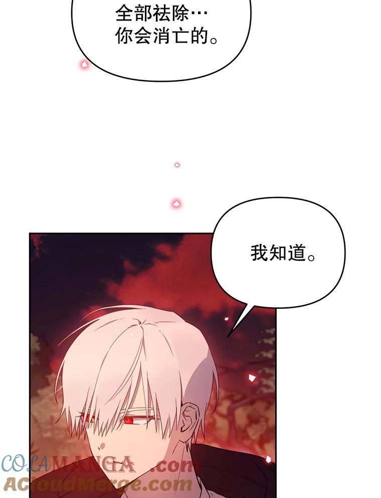 《林德尔又出什么事了？》65.艾米莉亚的报复 第49页
