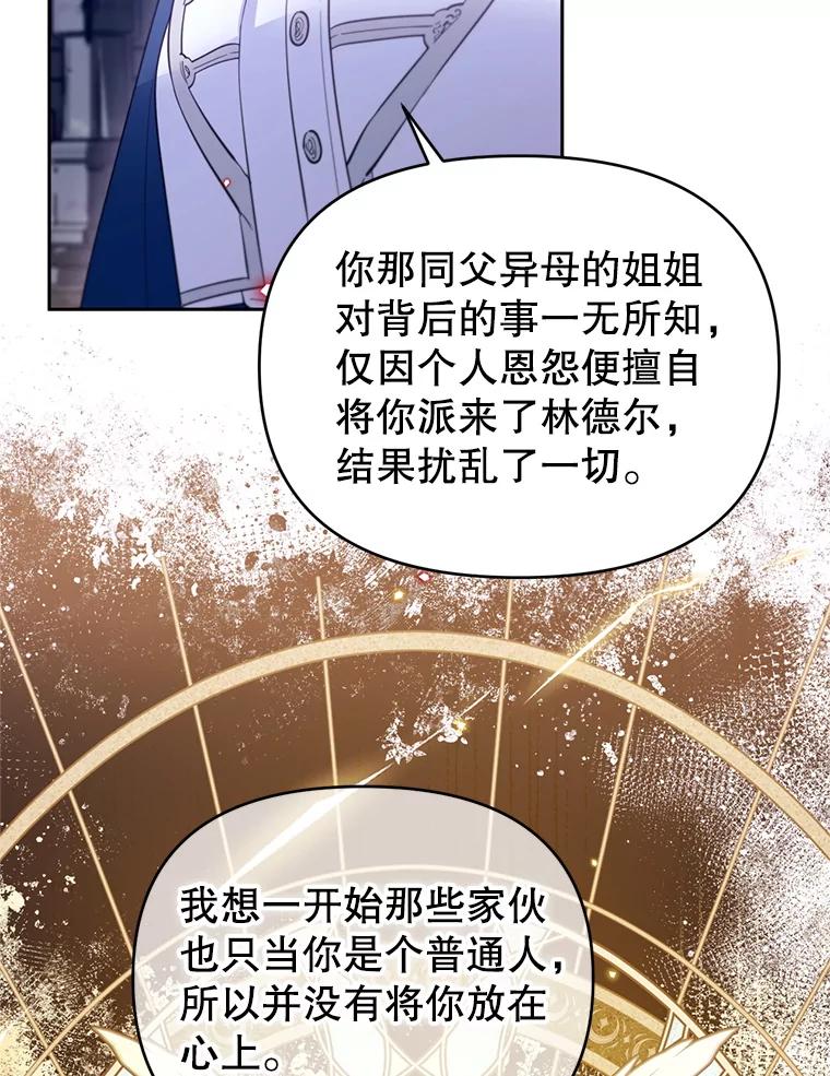 《林德尔又出什么事了？》65.艾米莉亚的报复 第14页