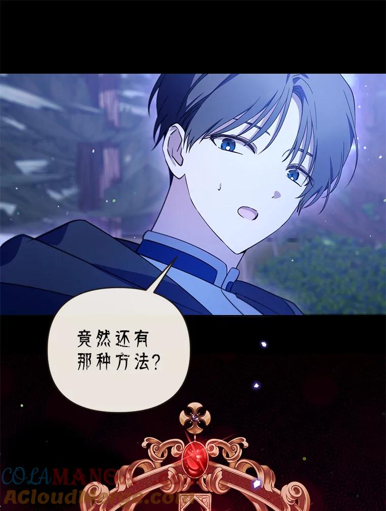 《林德尔又出什么事了？》65.艾米莉亚的报复 第73页