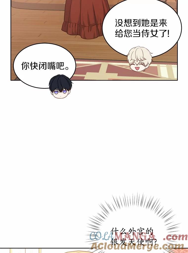 《吞噬太阳的花》6.银发天使 第37页