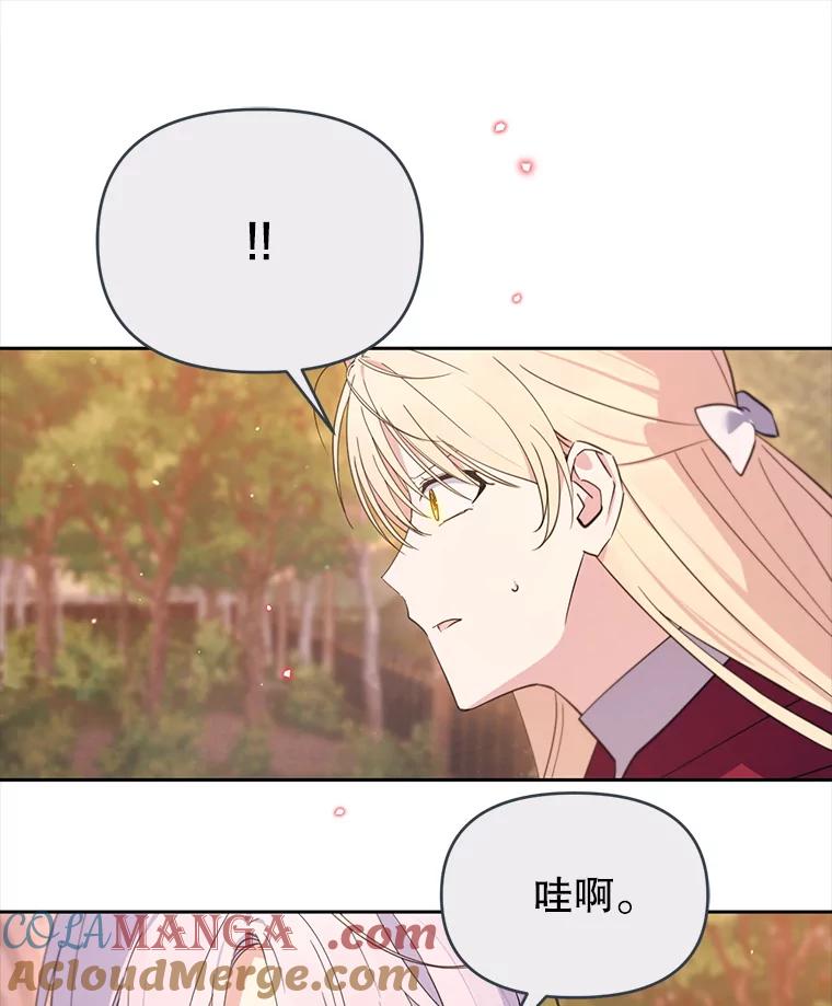 《林德尔又出什么事了？》70.烧毁手册 第97页