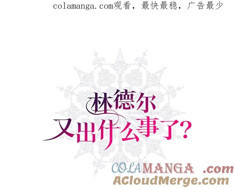 《林德尔又出什么事了？》70.烧毁手册 第1页