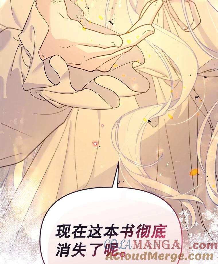 《林德尔又出什么事了？》70.烧毁手册 第101页