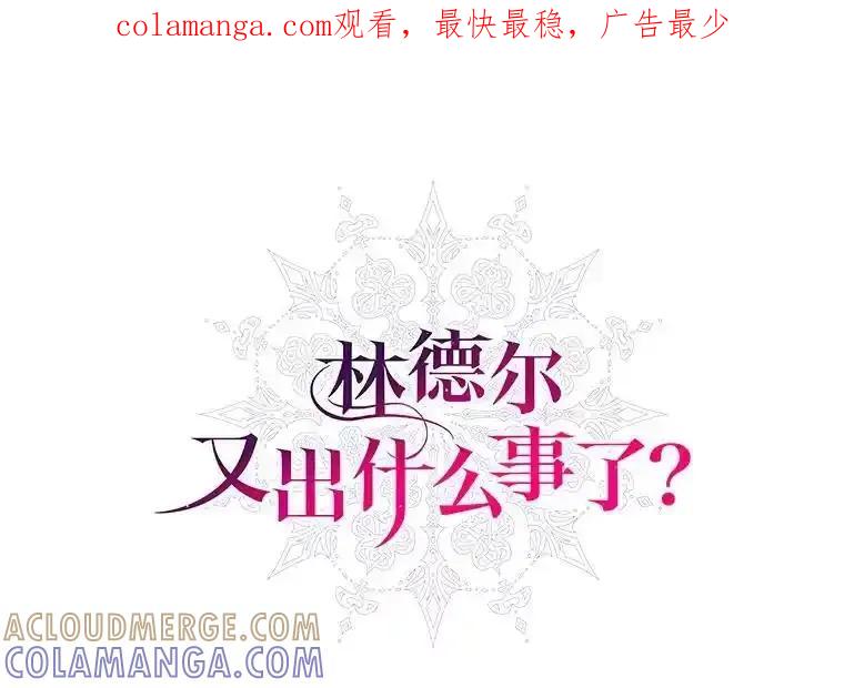 《林德尔又出什么事了？》74.最后一片拼图 第1页