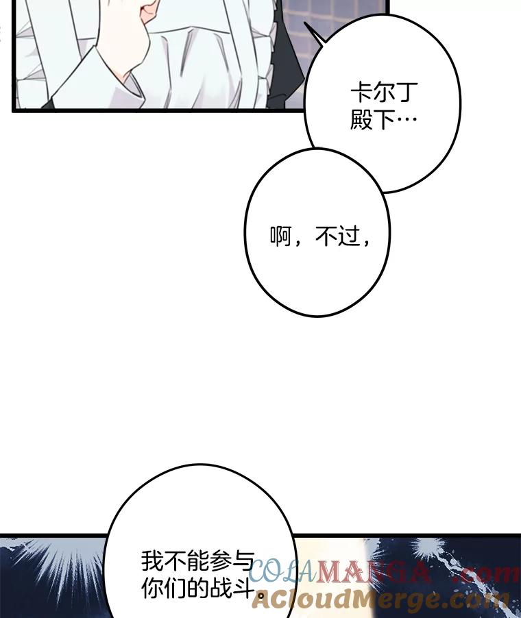 《女仆是悲惨结局收藏家》7.舍身相救 第33页