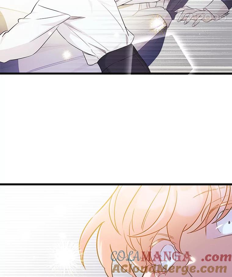 《女仆是悲惨结局收藏家》7.舍身相救 第117页