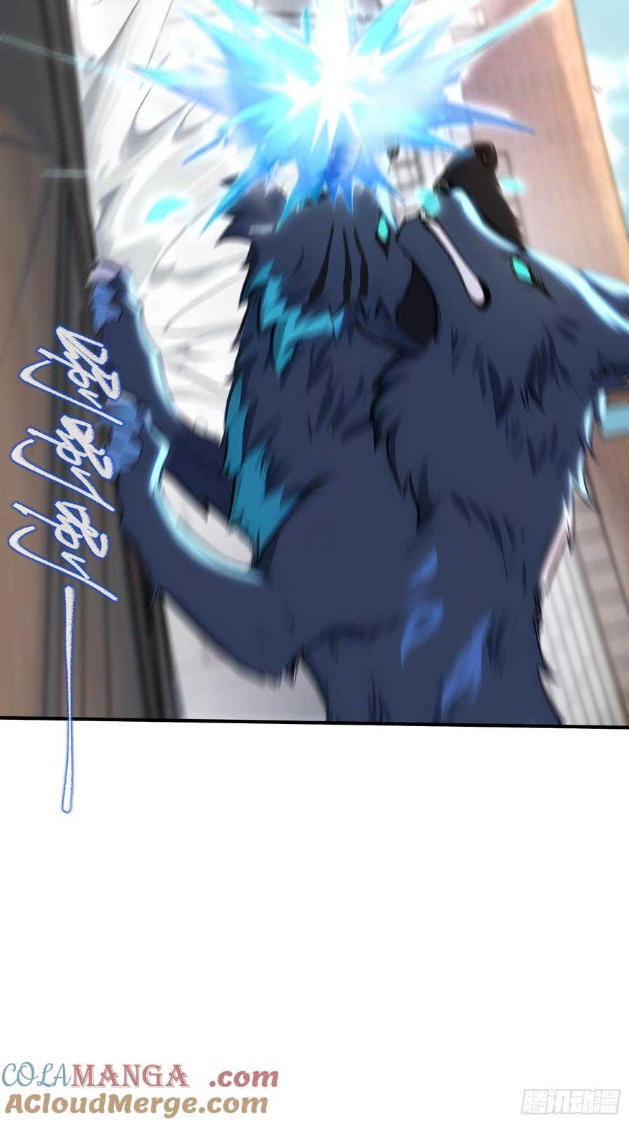 35.jpg