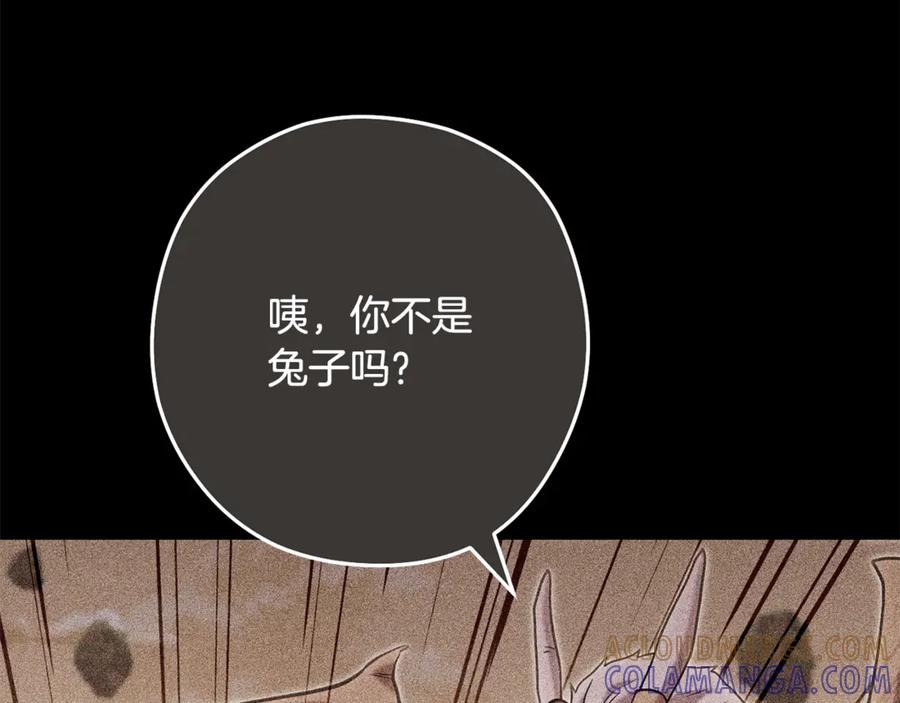 重启地下城 第253话 猎杀人类的魔女 第25页