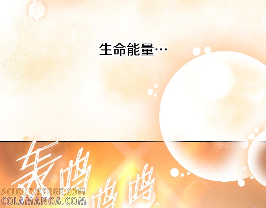 重启地下城 第256话 它在走向死亡 第145页
