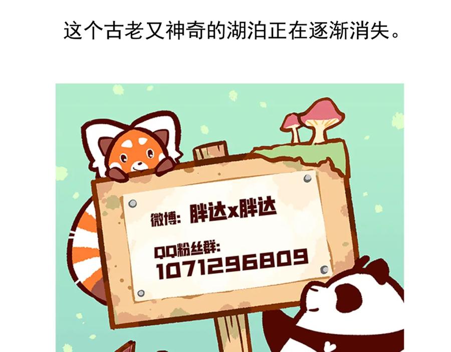 《胖达x胖达》第73话 第28页