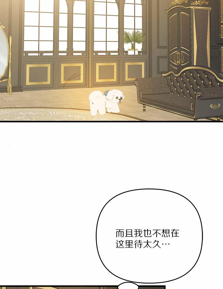《渴望假妹妹》29.窥见 第6页