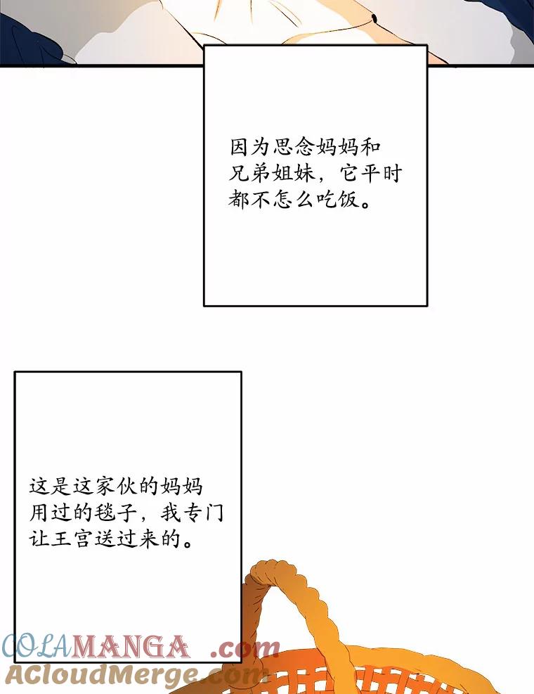 《渴望假妹妹》31.我喜欢你 第29页