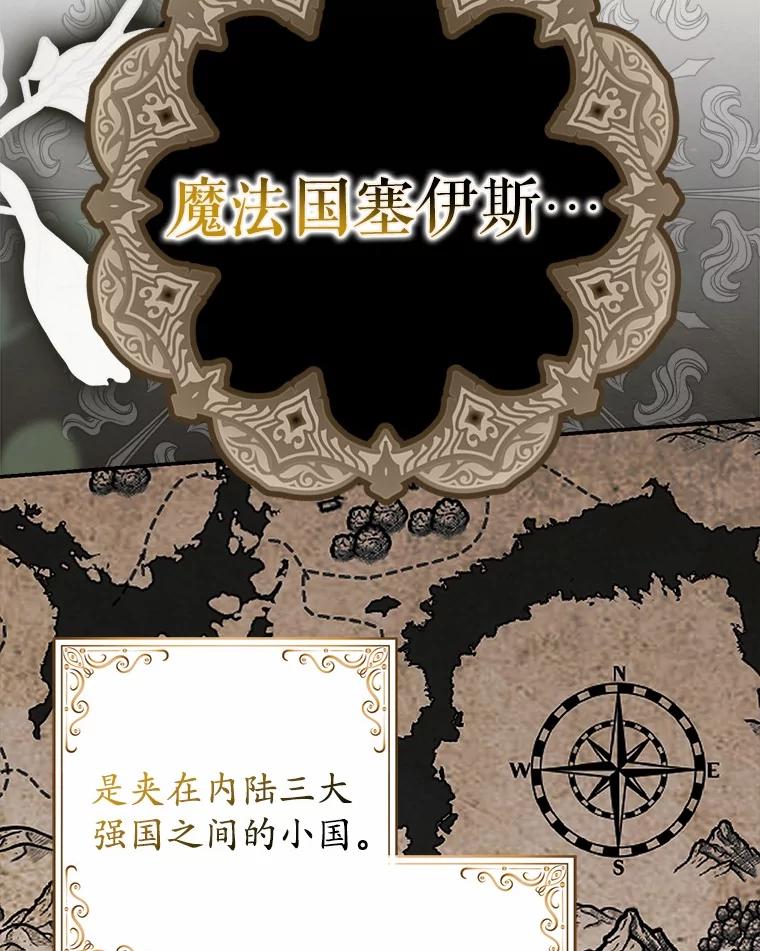 《反派未婚夫阻碍我的花路》3.魔力 第42页