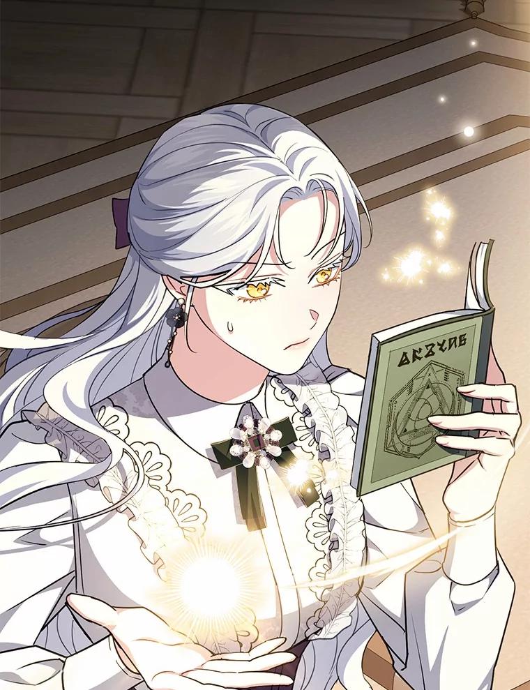 《反派未婚夫阻碍我的花路》3.魔力 第67页