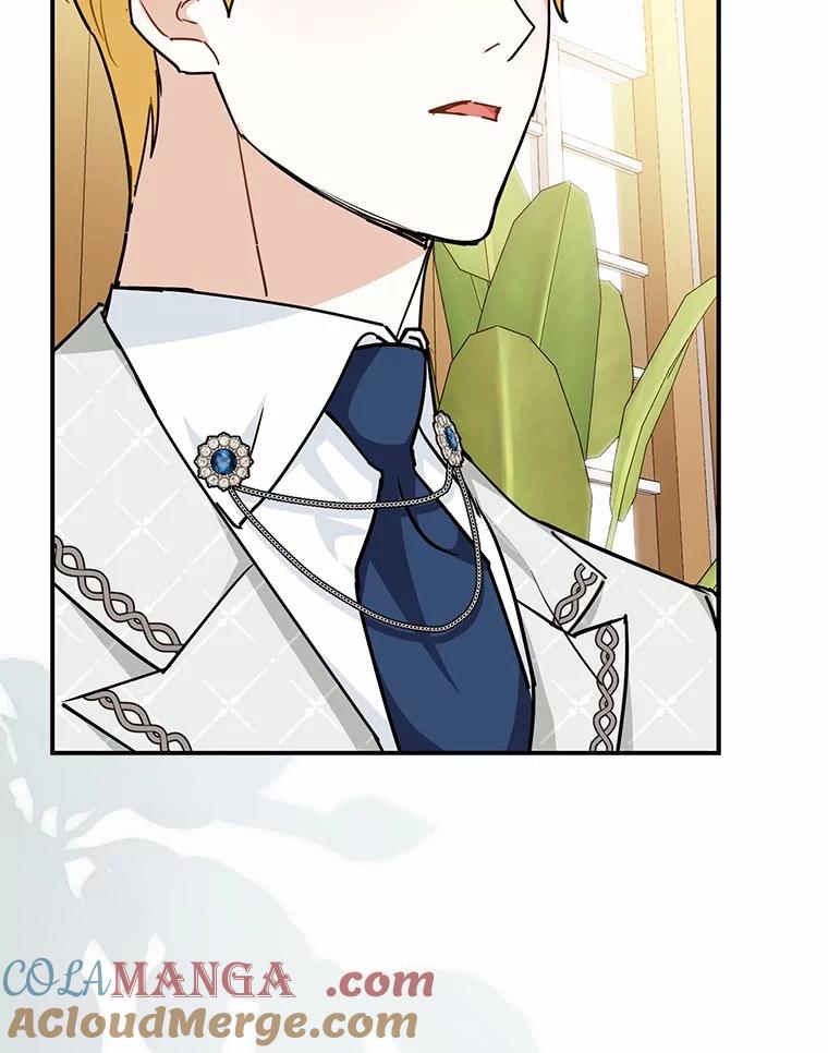 《反派未婚夫阻碍我的花路》3.魔力 第89页