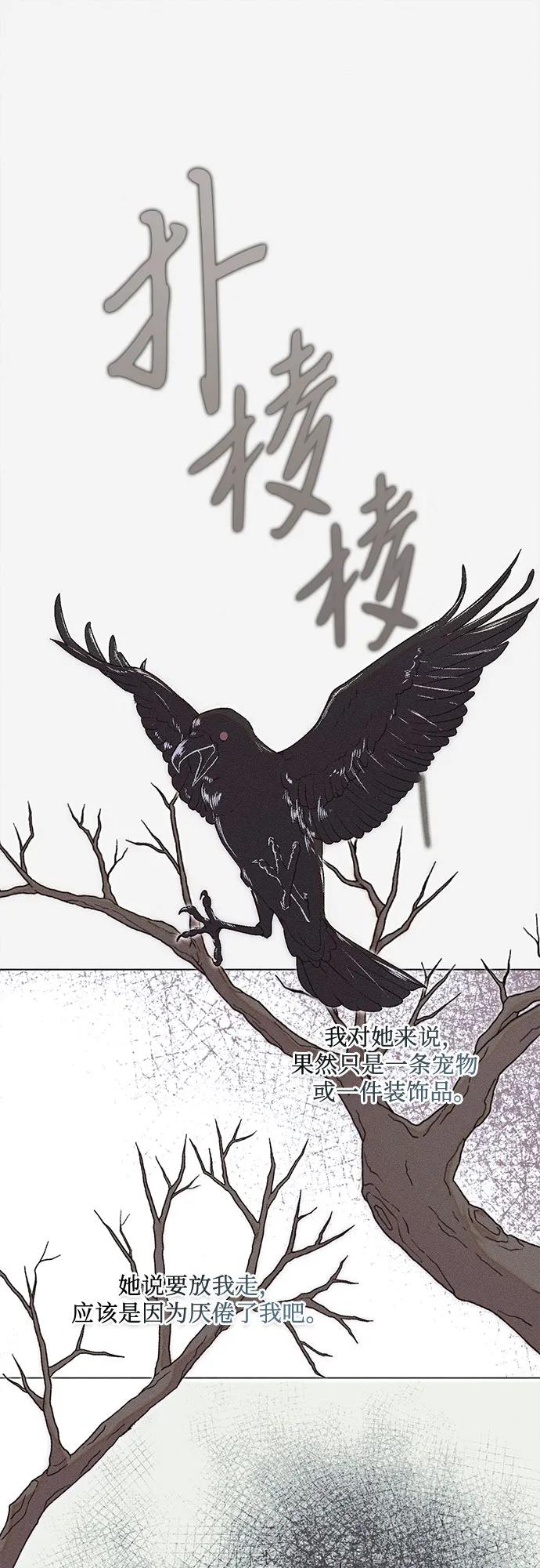 《囚禁在我湖中的人鱼》第27话 第48页