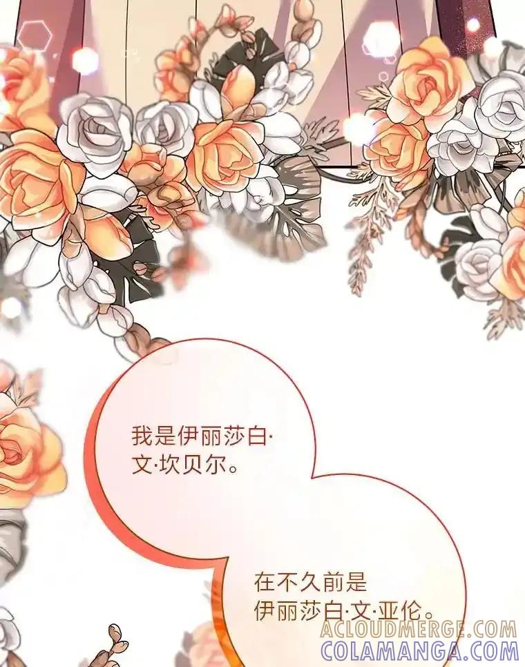 公爵夫人的秘密执笔 67.求助的客人 第52页