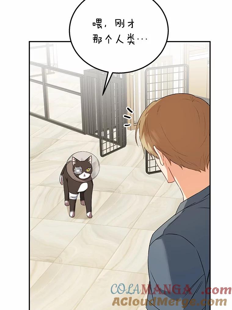 《你好？兽医先生！》28.救命恩人 第28页
